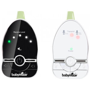 Elecrtonic babysitter